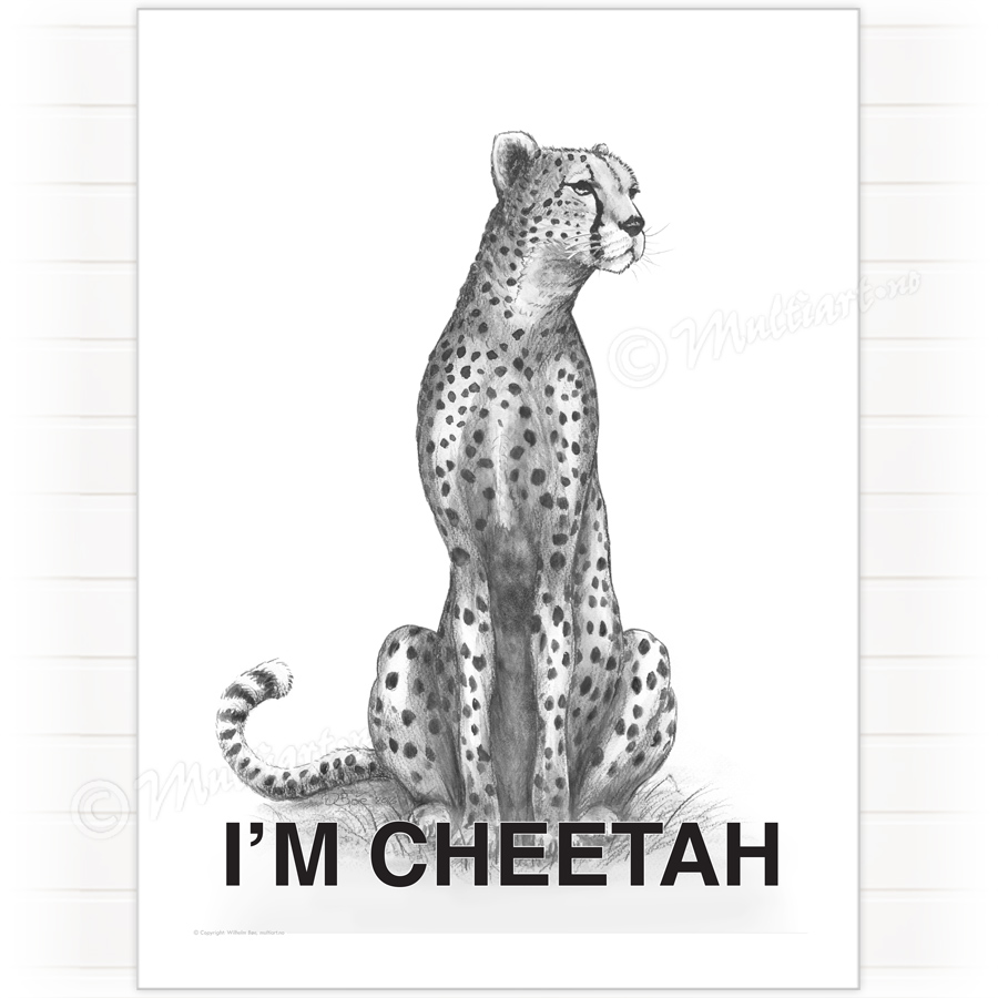 Poster, Cheetah Geopard