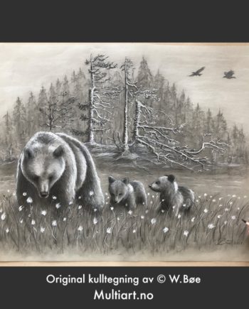 Original kulltegning av ei bjørnebinne med unger. Tegning av W. Bøe.