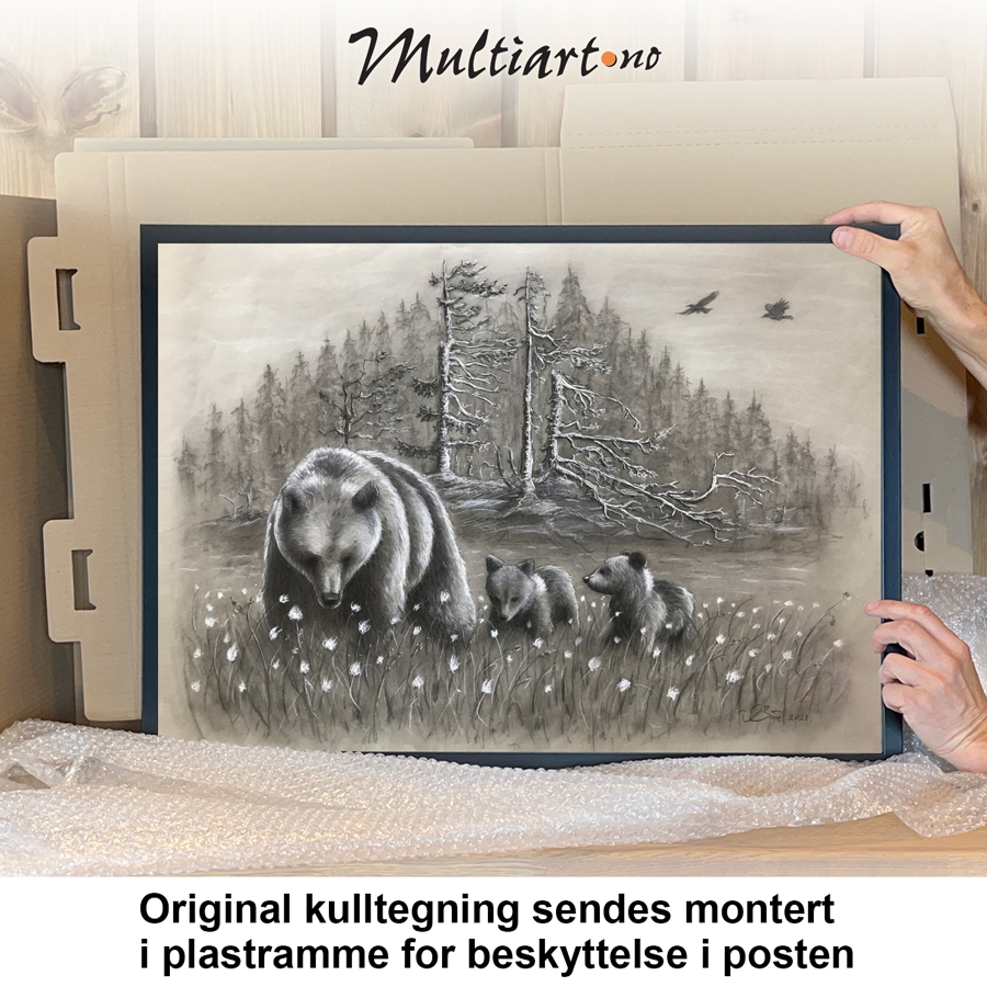 Originaltegning av ei bjørnebinne med unger. Kulltegningen sendes montert i klipsdramme.