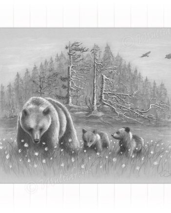 Kunstplakat med ei bjørnebinne med unger. Reproduksjon av kulltegning av W. Bøe. Signert for hånd
