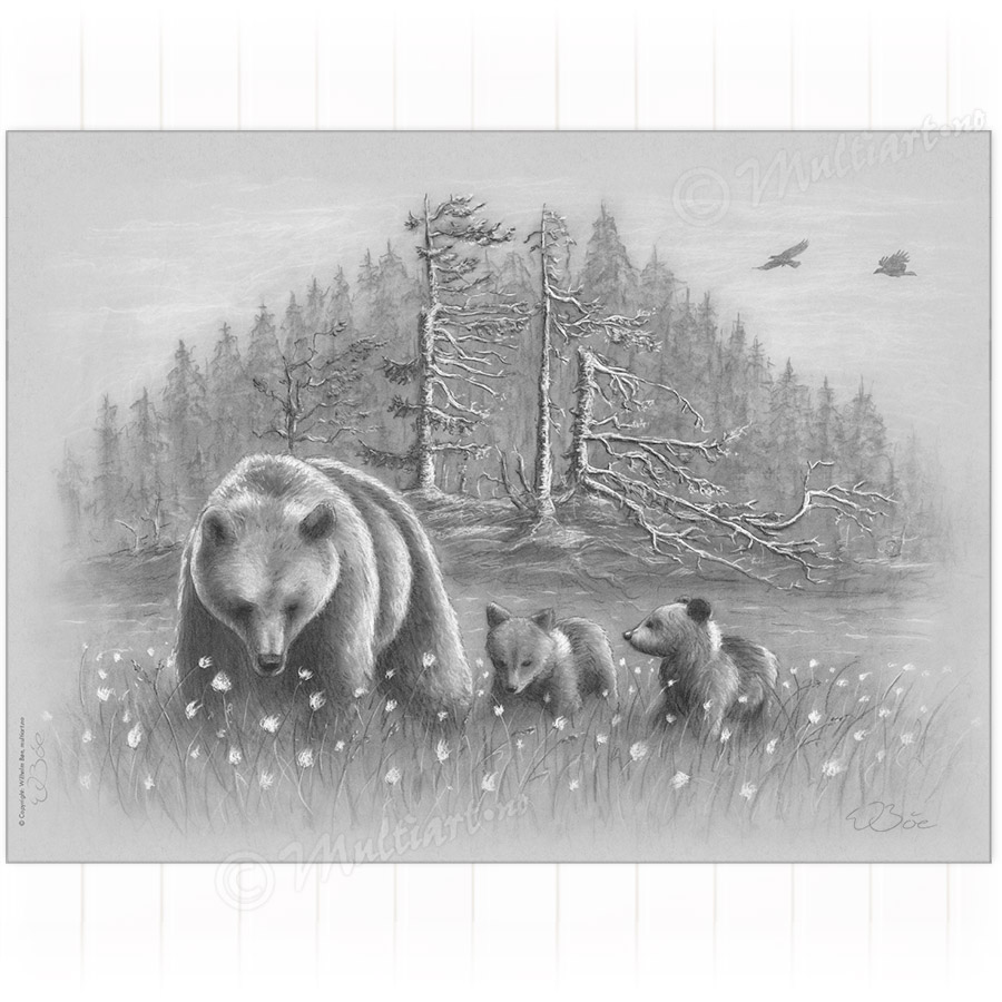 Kunstplakat med ei bjørnebinne med unger. Reproduksjon av kulltegning av W. Bøe. Signert for hånd