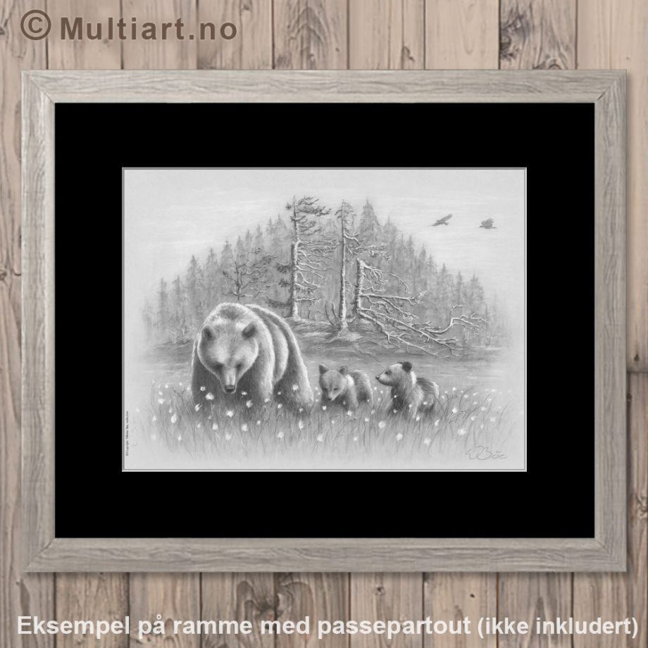 Kunstplakat av bjørnebinne med unger. Eksempel på sort passepartout